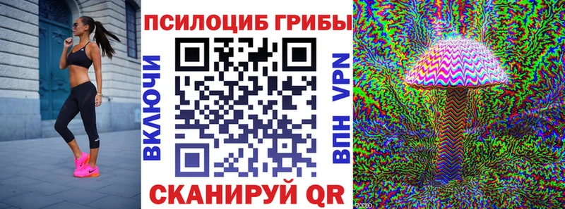 Псилоцибиновые грибы Cubensis  где можно купить   Заинск 